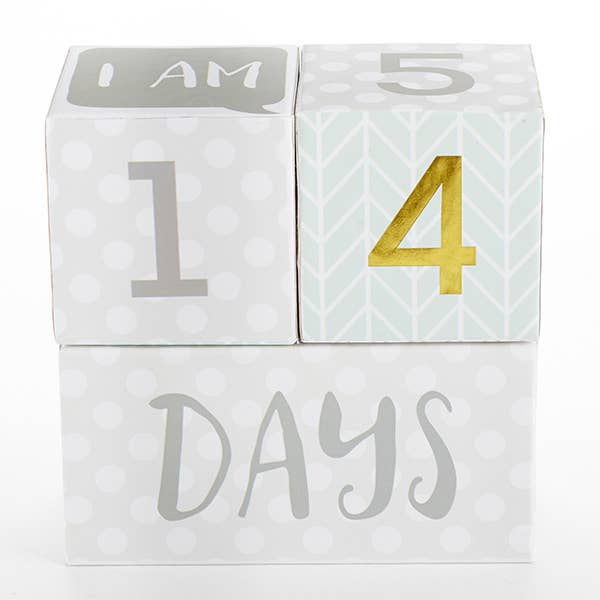 My First Milestone Baby Age Blocks