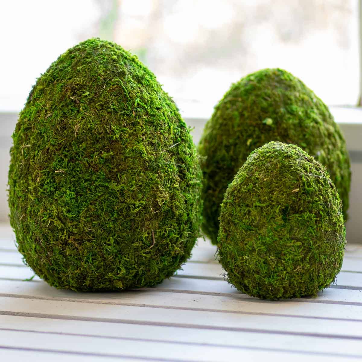 Moss Egg Decor   Green   10"