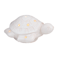 Sea Turtle Light Up Sitter