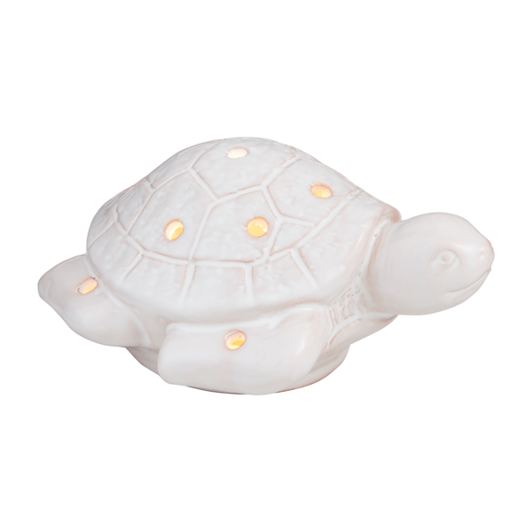 Sea Turtle Light Up Sitter