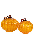 Small Dawson Pumpkin