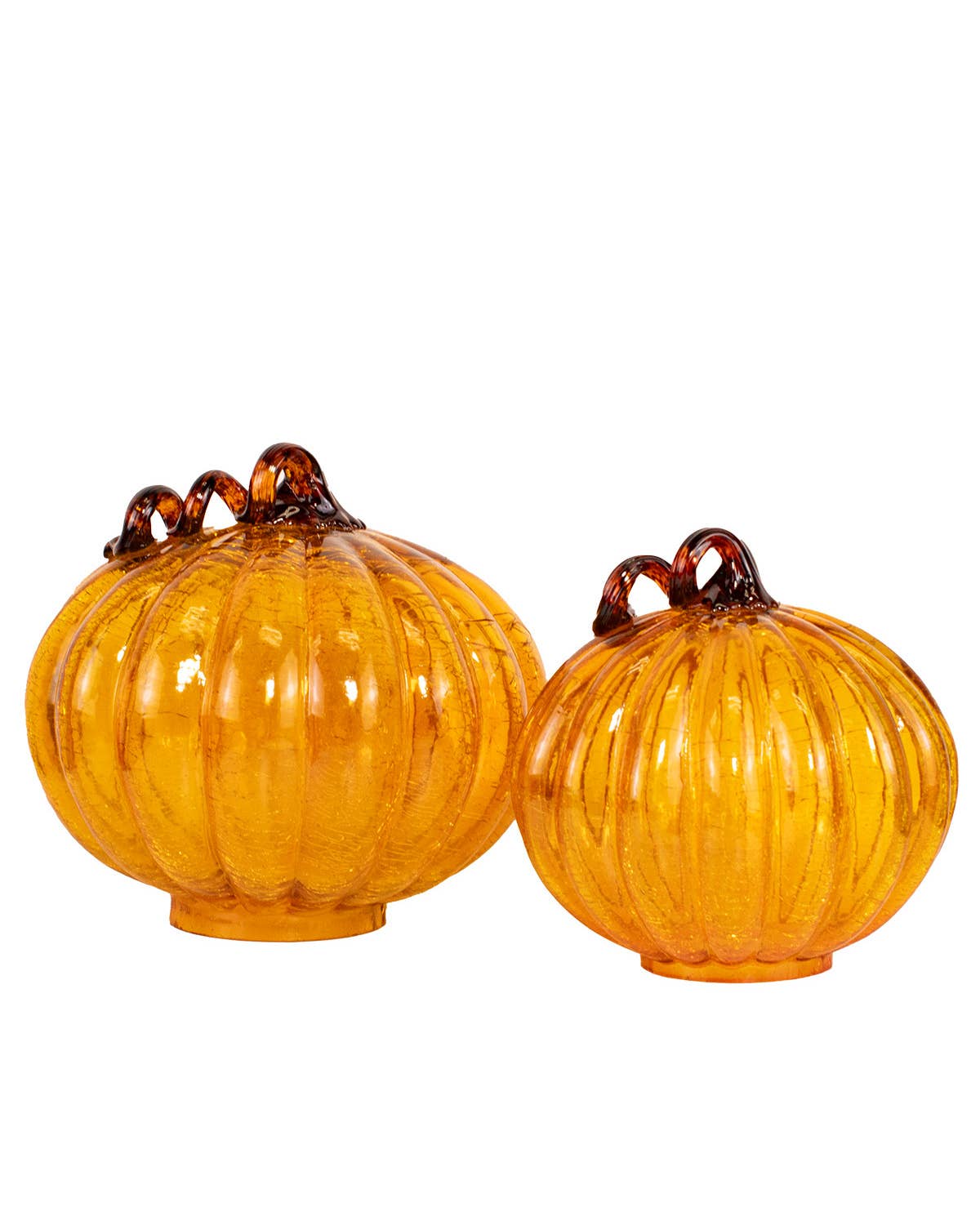 Small Dawson Pumpkin