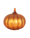 Dylan Copper Pumpkin
