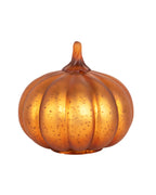 Dylan Copper Pumpkin