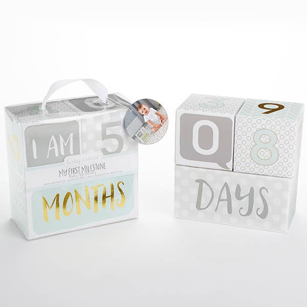 My First Milestone Baby Age Blocks