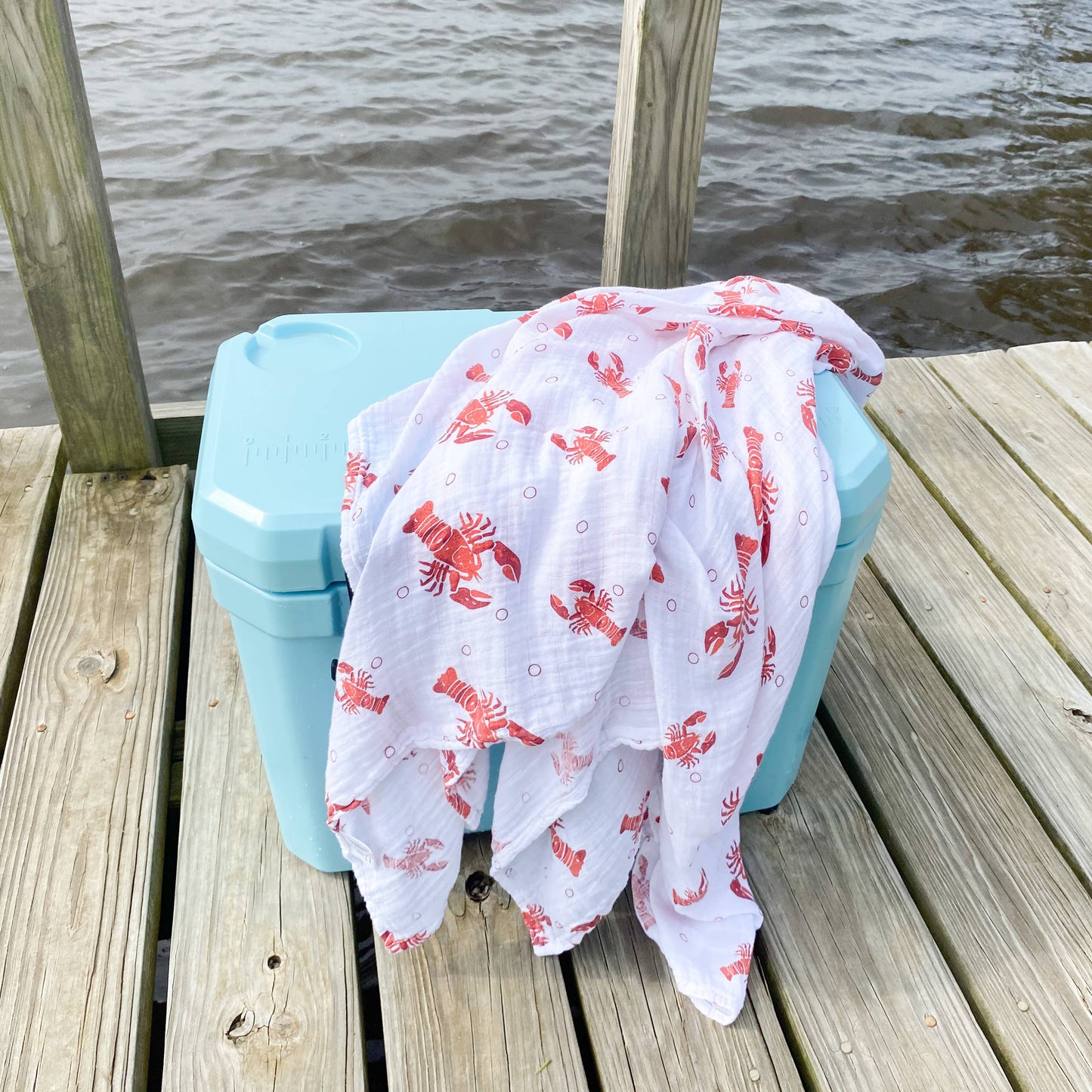 Heads or Tails Swaddle Blanket