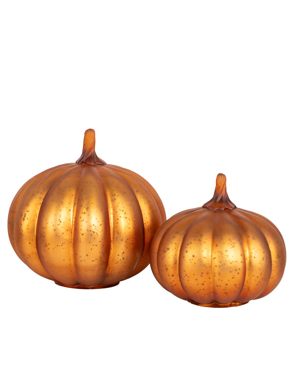 Dylan Copper Pumpkin