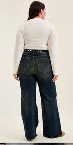 Judy Blue High Waist Retro Plus Size