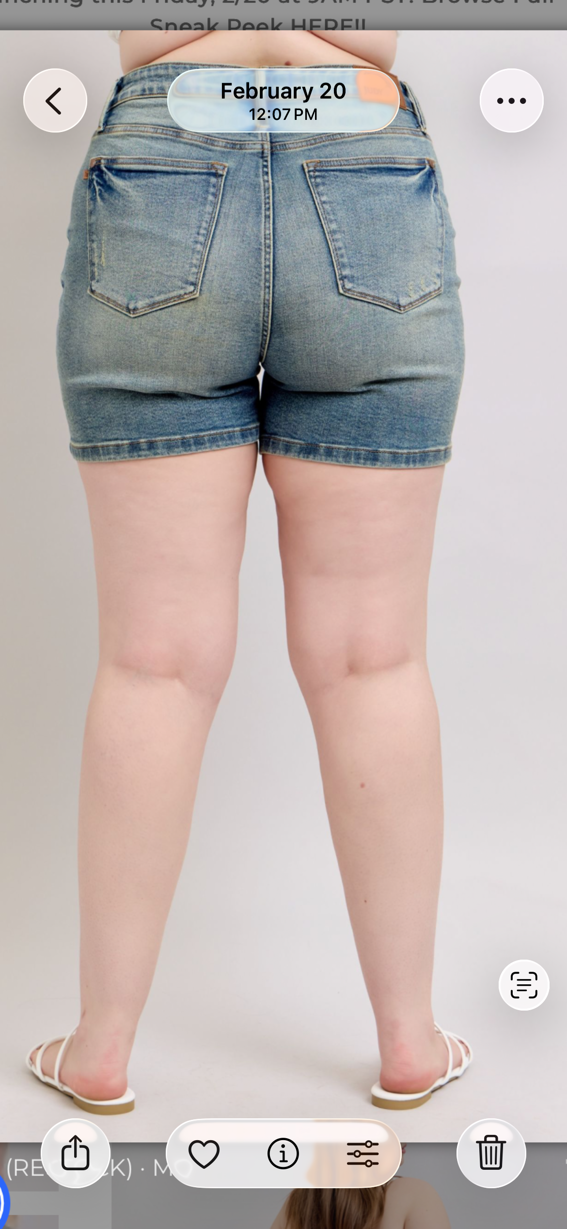 Plus Size Judy Blue V-Front Vintage Shorts