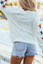 USA Sweatshirt