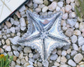 Starfish Catchall