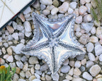 Starfish Catchall