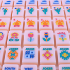 Mahjong Set - The Southwest Series