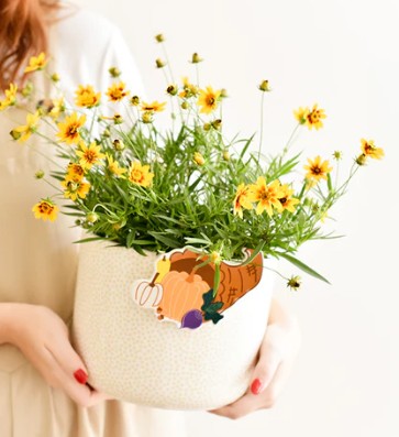 Neutral Small Dot Happy Everything Mini Bowl