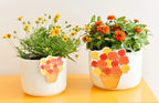 Neutral Small Dot Happy Everything Mini Bowl